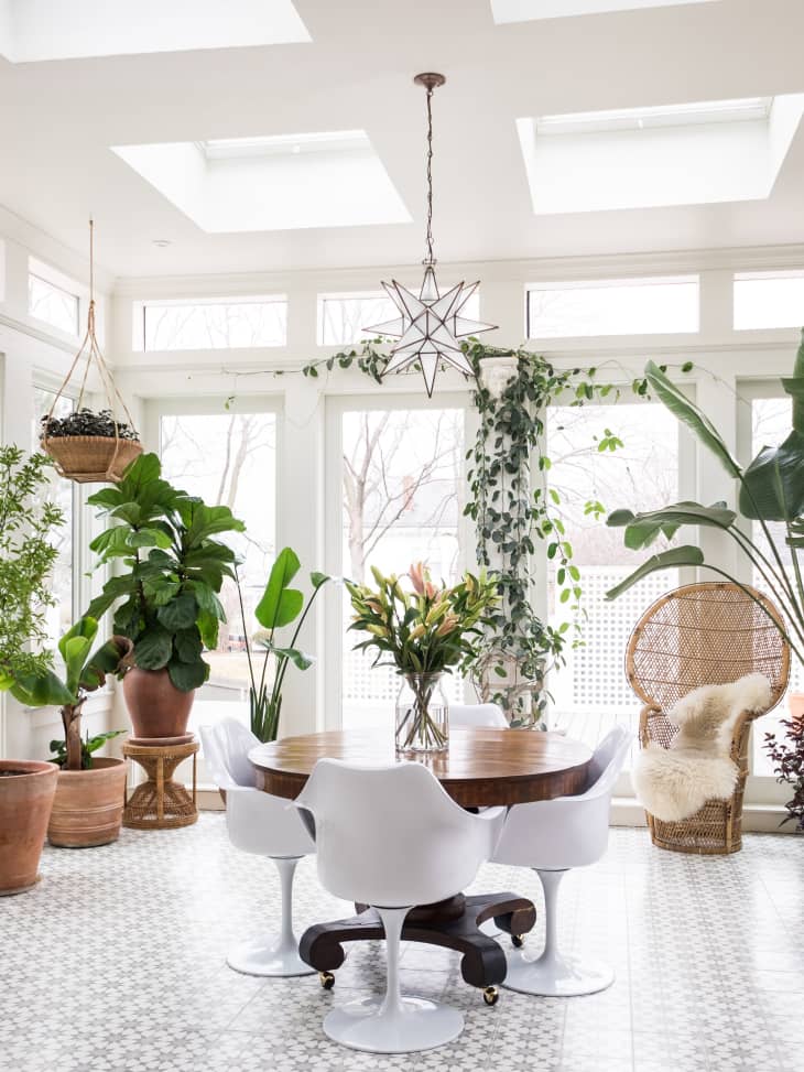 The Best Fake Plants to Add to Your Home Apartment Therapy